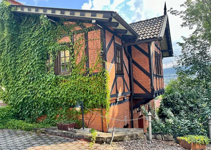 Ferienhaus Villa Frosch